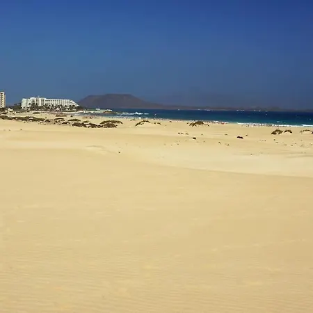 Flat Piatto Marianne