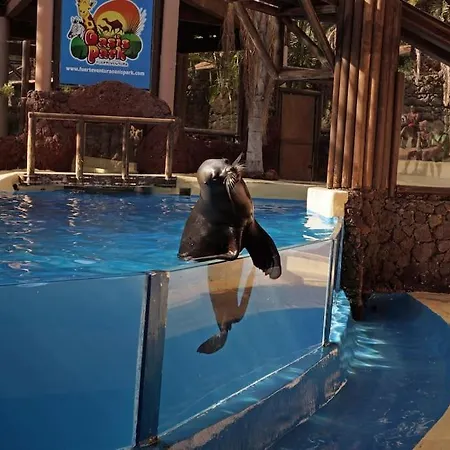 Flat Piatto Marianne アパート コラレホ