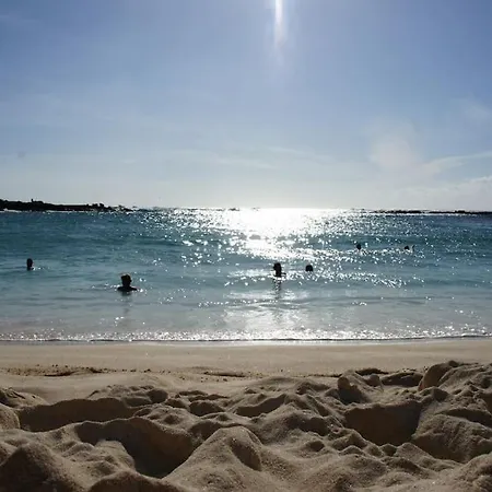 Flat Piatto Marianne コラレホ