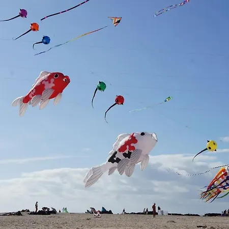 Flat Piatto Marianne *