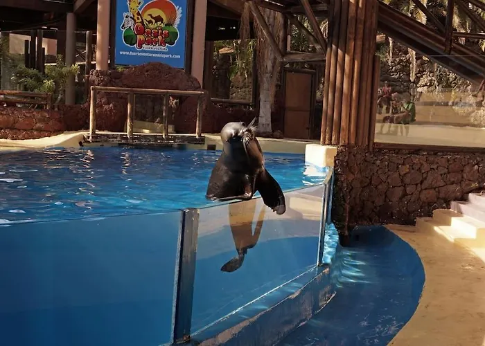 Flat Piatto Marianne Appartement Corralejo