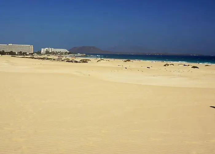 Flat Piatto Marianne